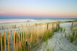 Cape Cod, Massachusetts, USA.. Cape Cod, Massachusetts, USA..