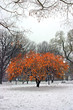 Boston Winter..