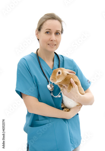 Vet holding a pet rabbit