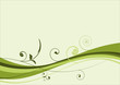 vecteur série - floral design - plante en courbes vectorielles