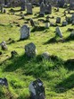 Old Tombstones