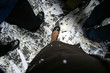 Business Shoes at a Ticker Tape Parade