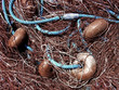 Fishing Network