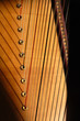 harpe (détail)