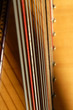 harpe (détail) harpe (détail)