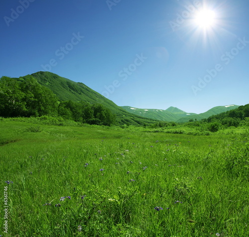 Summer green hills