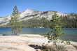 Ellery Lake in Yosemite Park