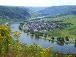 Blick auf Wolf