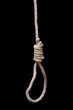 Noose