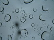 water droplets 8