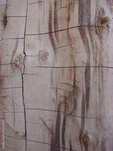 Photo: texture texture