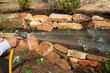 A garden is planted in the summertime