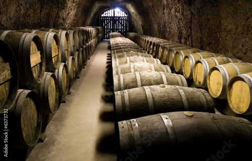 Wine barrels in cellar. Wide angle view.