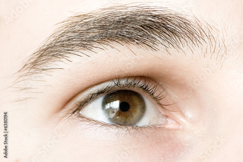 Oeil