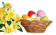Easter basket and daffodil