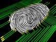 Scanning of a fingerprint with  new technologies