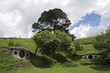 Vegetation 