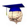 Smart brain