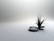 planta y piedras planta y piedras