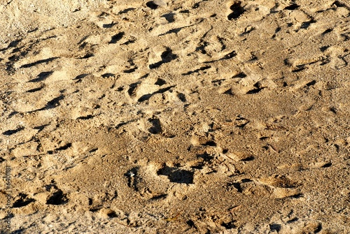 tracce