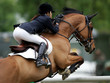 Springreiten