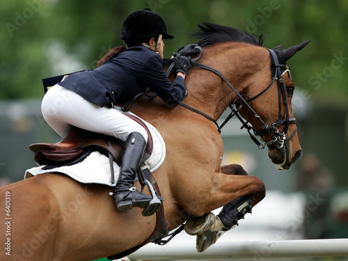 Springreiten