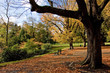Parc Barbieux