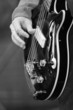 Bass