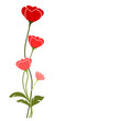 vecteur série - coquelicot de printemps vectoriel