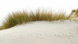 dune