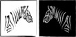 Vector: zebra vector illustration zebra vector illustration