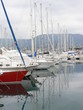 port de Bormes les mimosas