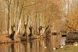 Marais Poitevin Marais Poitevin
