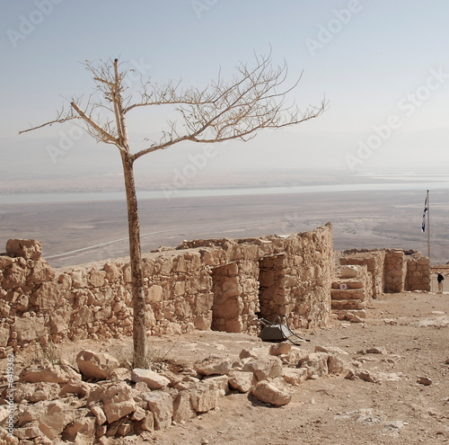 Photo: Lonely tree Lonely tree
