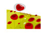 coquelicots