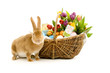Rabbit with basket of easter eggs and spring flowers