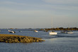 France, Côtes d'Armor, Ile de Bréhat, paysage côte sud