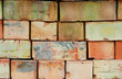 Brick wall.
