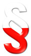 paragraph polen