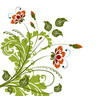 Floral composition