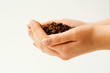Holding coffee bean. Holding coffee bean.
