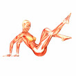 Human Anatomy