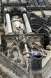 gothic gargoyle