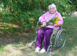 Photo: Senior resting in a garden Senior resting in a garden
