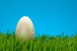 Easter egg in grass