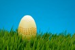Easter egg in grass