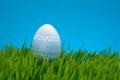 Easter egg in grass