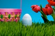 Easter egg in grass