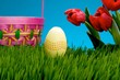Easter egg in grass