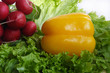 vegetables with salad, radish and pepper on table